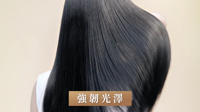 Hair Recipe 髮の食譜